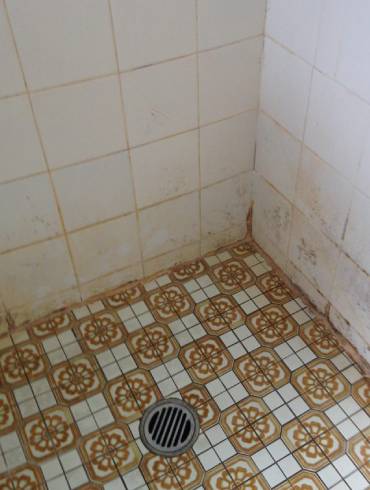 leading shower services australia