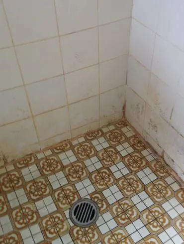 Tired grout and stained silicone in an older shower recess